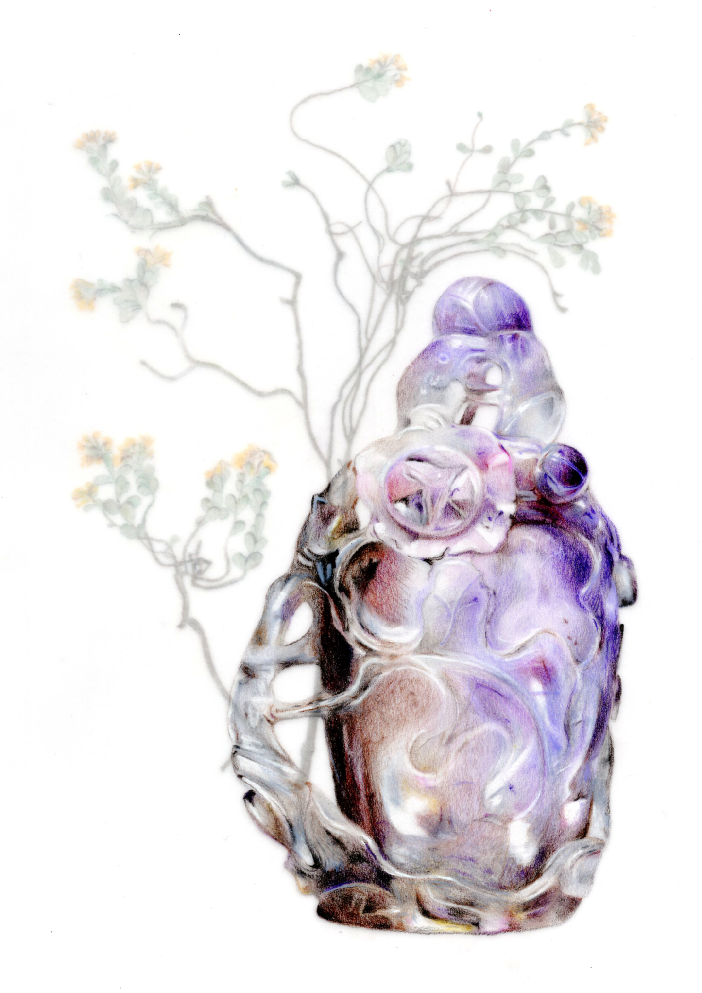 Limited Edition “Succus” A4 Art Print